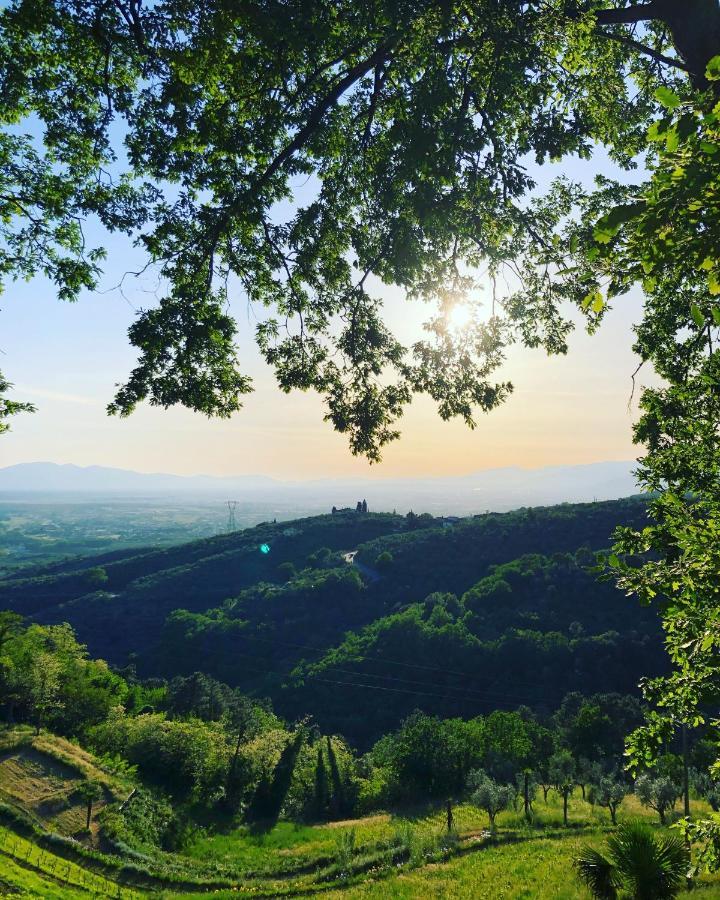 Villa Del Parco In Tuscany San Baronto Eksteriør billede